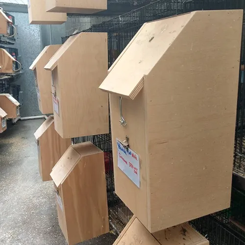 Nesting boxes Adelaide 1